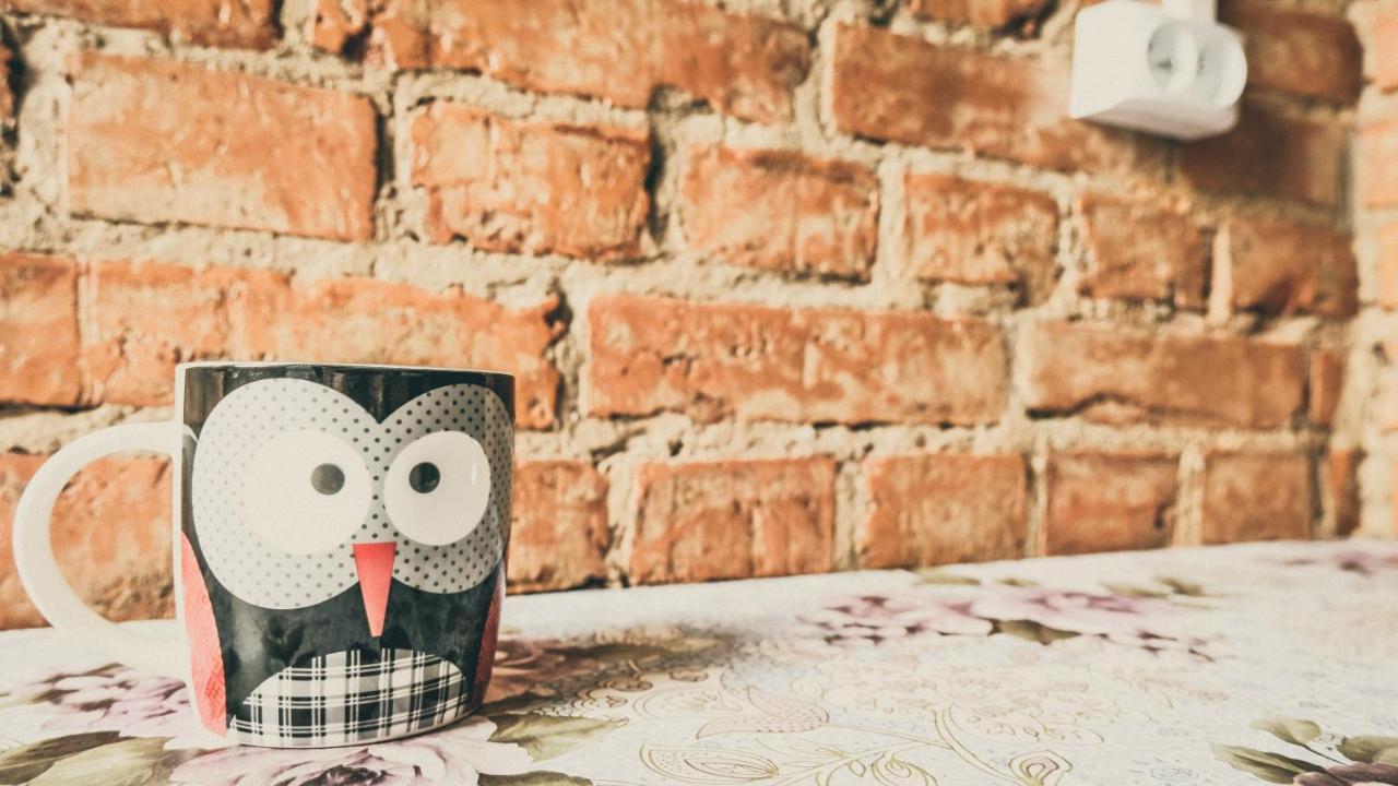 Chata Na Koncu Swiata Czaplin Maly Ngoại thất bức ảnh